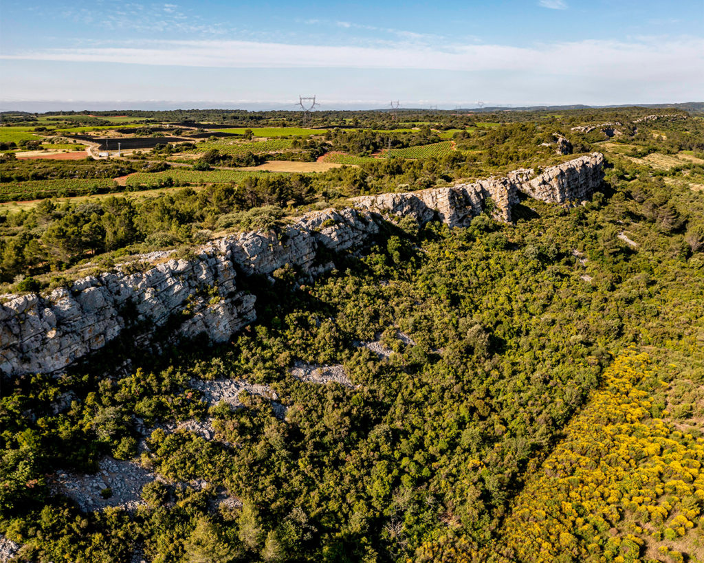 Le Languedoc